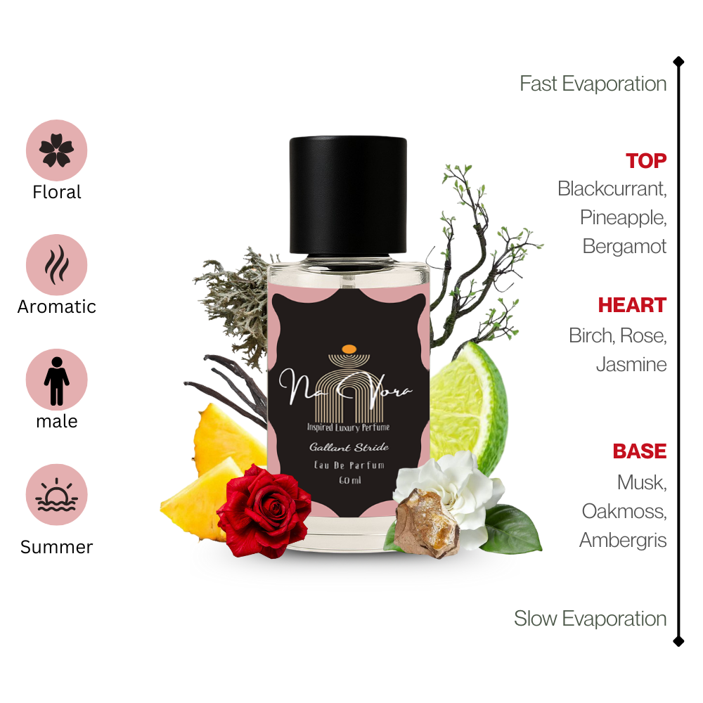 Navora Gallant Stride Perfume for Men (60ML)